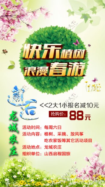 春游海报广告植树旅游
