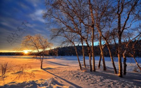 冬季日落风景