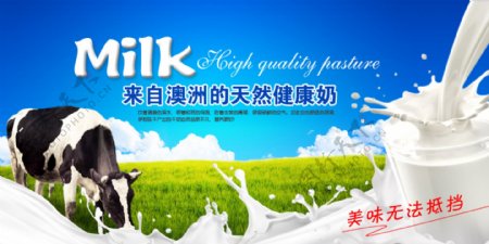 milk牛奶海报设计