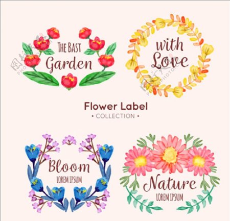 水彩风格的四种花卉标签