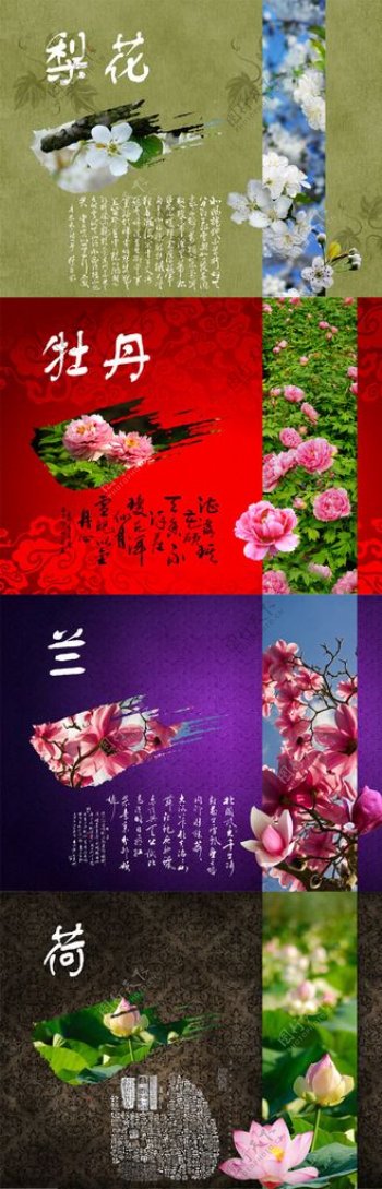 中国花卉中国风底纹