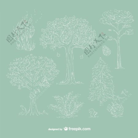 树木植物手绘线稿时尚