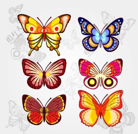 色彩斑斓美丽的蝴蝶手绘