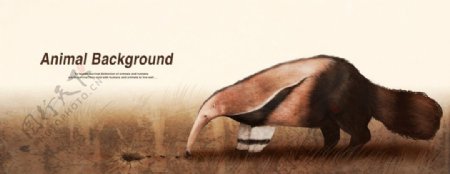 鸭嘴兽复古海报展示