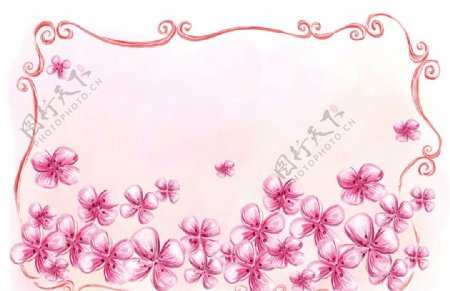 粉红蝴蝶花藤蔓边框背景