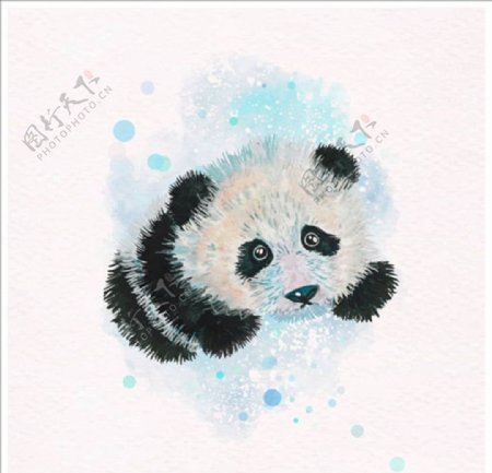 手绘水彩可爱的熊猫