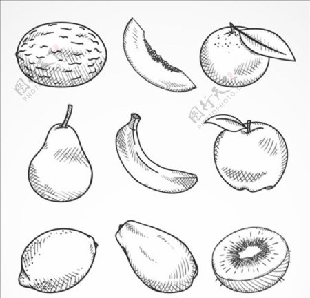 9个手绘素描水果