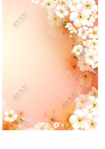 粉色花朵底纹背景