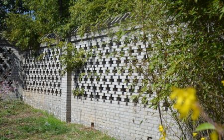 竹林围墙