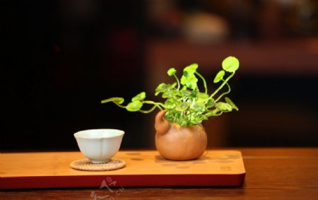 茶道