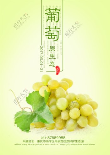 水晶葡萄葡萄