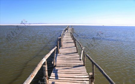 通向湖中的木梁桥