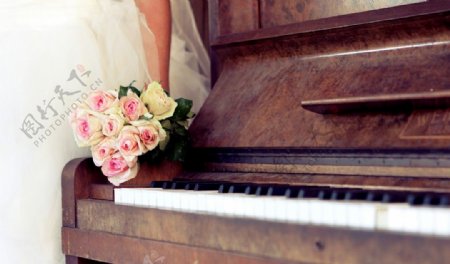 钢琴与玫瑰
