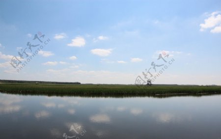 千鹤岛湿地