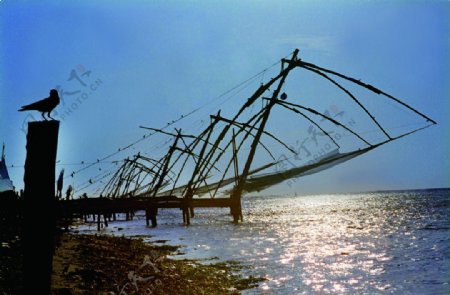 印度的中国渔网