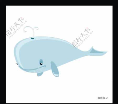 鲸鱼座头鲸海洋