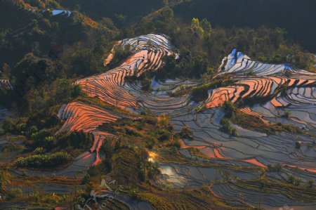 元阳梯田