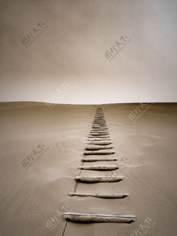 沙漠里的路