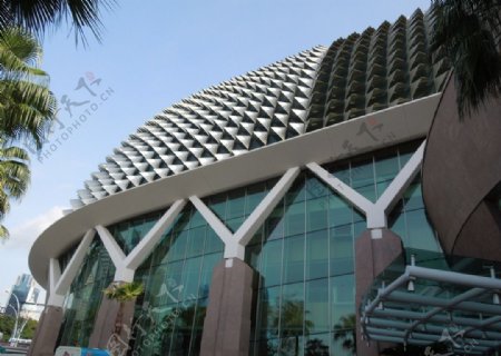 新加坡菠萝建筑
