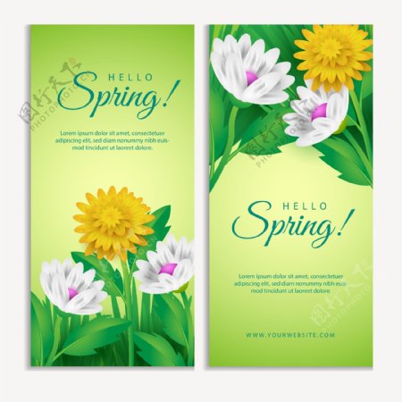 两款春季花卉海报