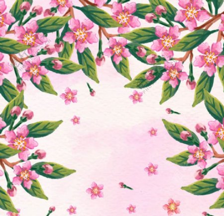 手绘水彩春季樱花插图