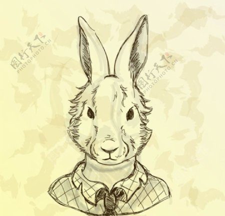 手绘线稿复活节兔子先生