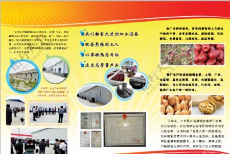 新疆干果红枣加工厂宣传页