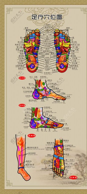 足底穴位