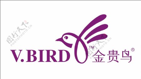 金贵鸟logo