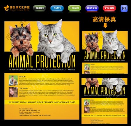 动物保护介绍