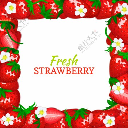 水果草莓边框背景