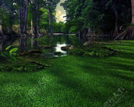 湖水草地树林背景图片