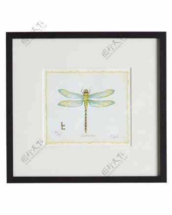 抽象蜻蜓装饰画
