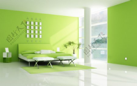 绿色清新的室内设计图片