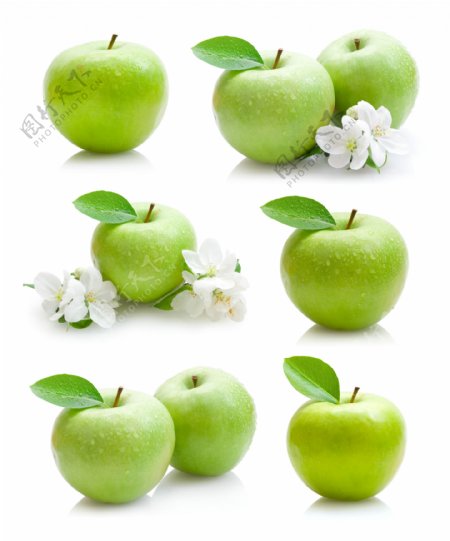 苹果与花朵图片