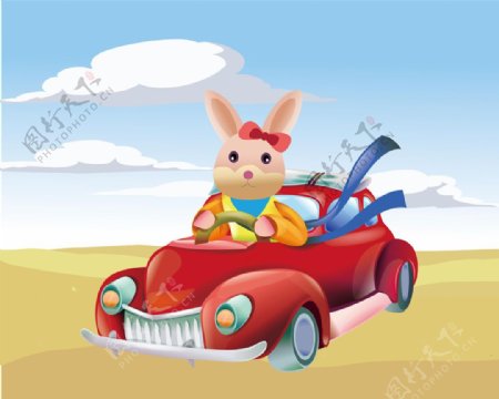 卡通夏季开车的兔子插画
