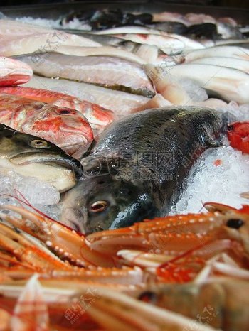 新鲜的鱼市场