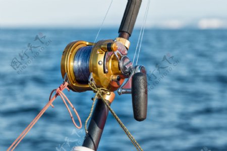 鱼竿上的滑轮图片