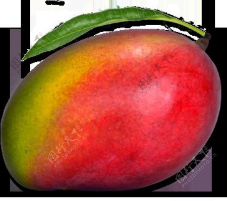 红色新鲜芒果免抠png透明图层素材
