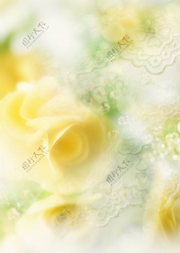 温馨浪漫鲜花背景图片