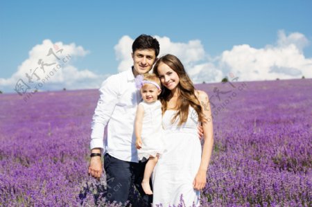 薰衣草中的幸福家庭图片