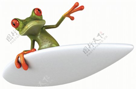 冲浪的青蛙图片
