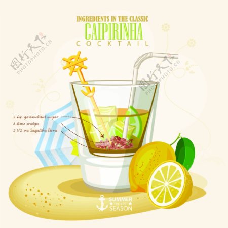 柠檬水果鸡尾酒插画