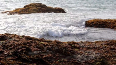 海滩石头素材视频
