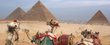 埃及的沙漠和金字塔图片