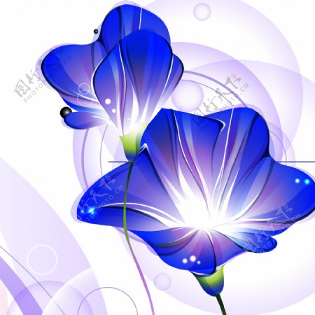 浪漫紫色花朵三联画