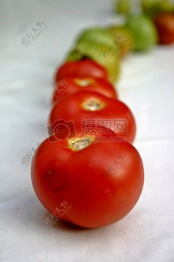 桌面上摆放整齐的番茄
