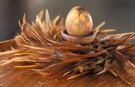 羽毛与复活节彩蛋图片