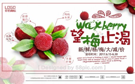 简约夏季水果杨梅促销海报
