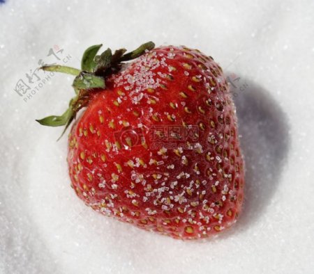 白糖上的草莓